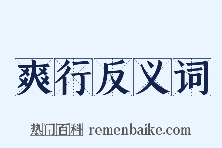 爽行反义词是什么意思的图片